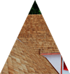 Cedar Roofing Icon