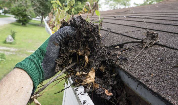 Cleaning Clogged Gutters