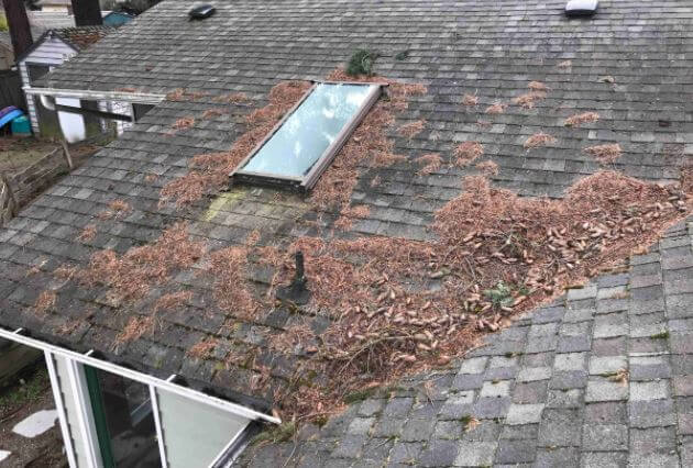 Debris on Roof