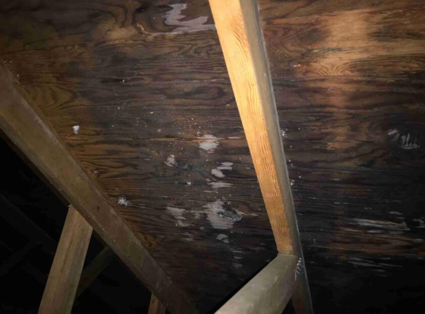 Water Damage Due to Leaks in Attic