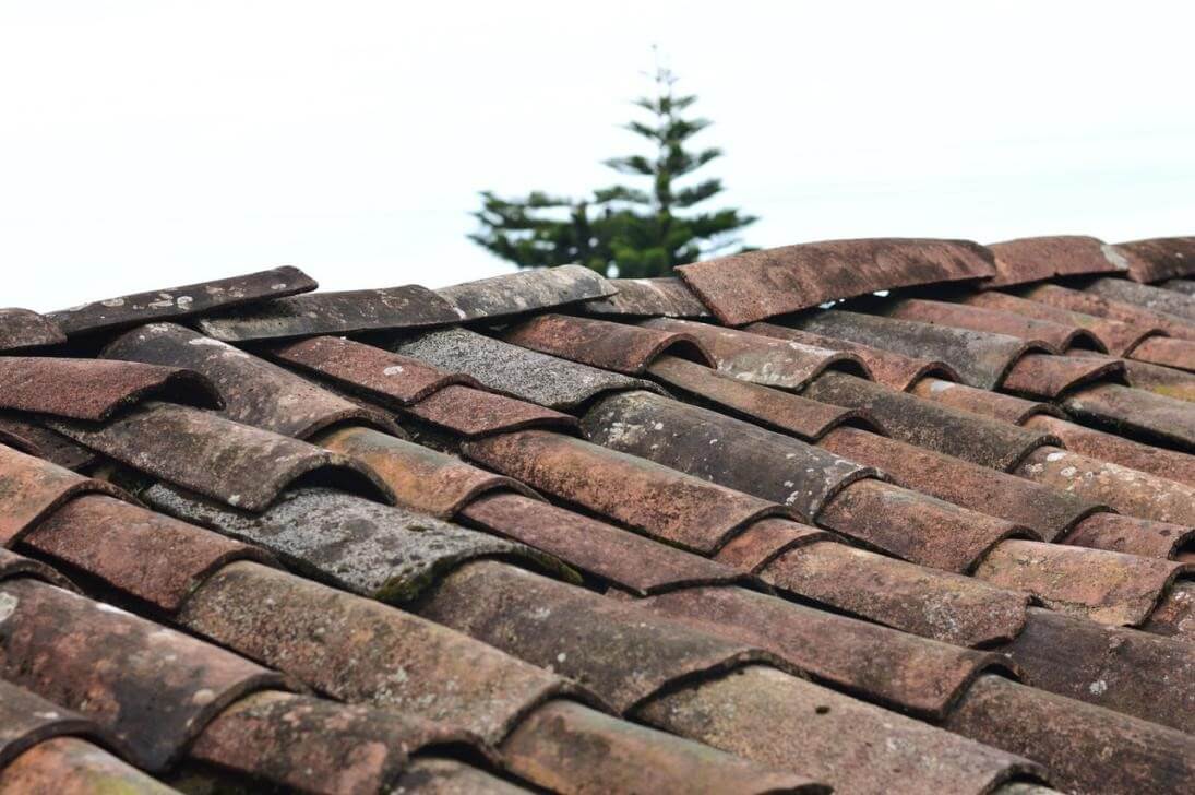 How to Check for Different Roof Problems