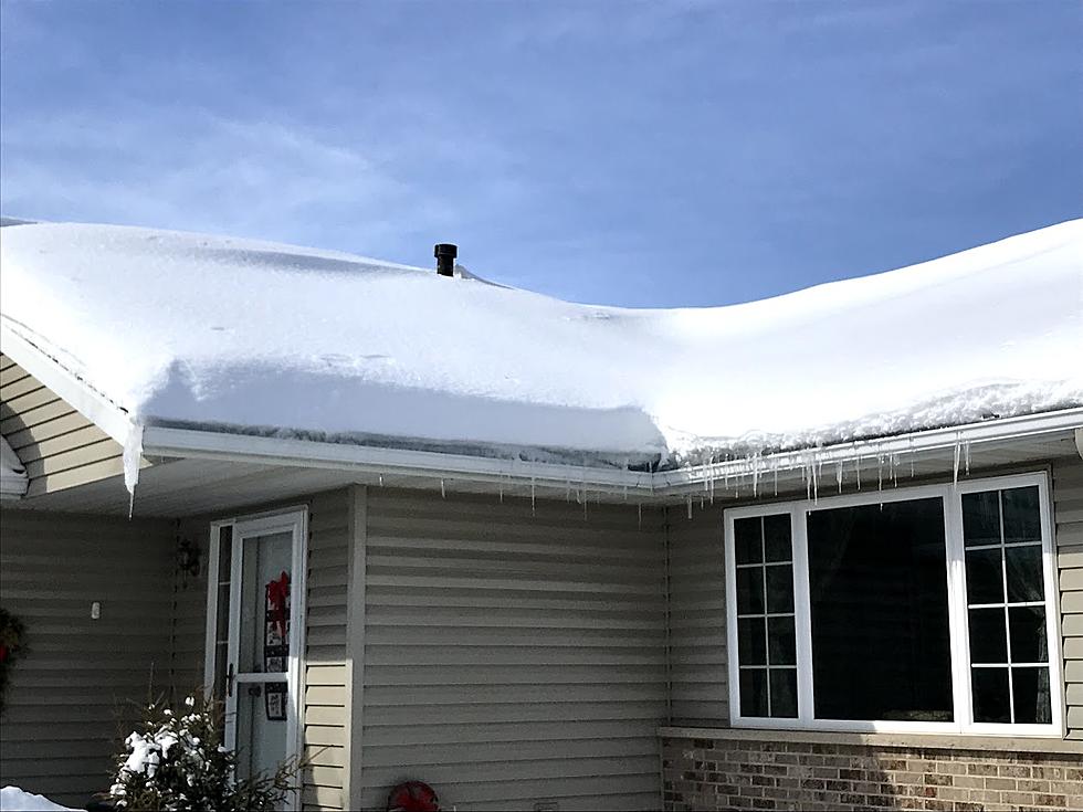 Snow Covered Roof